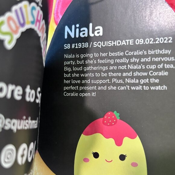 NWT Squishmallows Niala The Cheesecake! - Picture 5 of 6